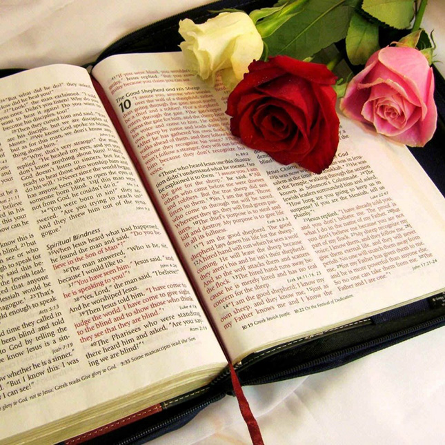 LÃNH ĐẠO CƠ BẢN